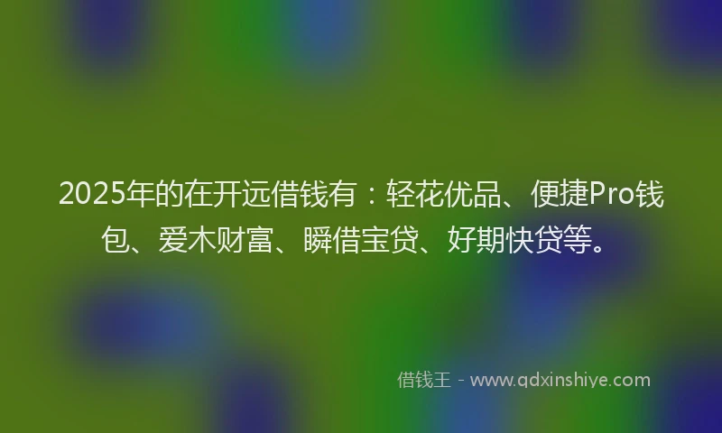 2025年的在开远借钱有：轻花优品、便捷Pro钱包、爱木财富、瞬借宝贷、好期快贷等。