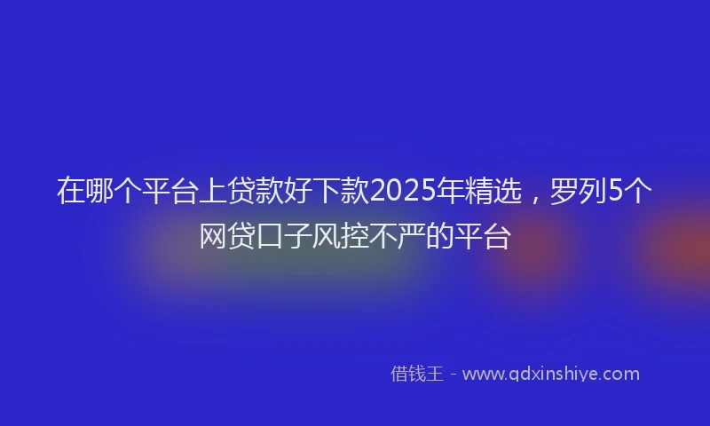 在哪个平台上贷款好下款2025年精选，罗列5个网贷口子风控不严的平台