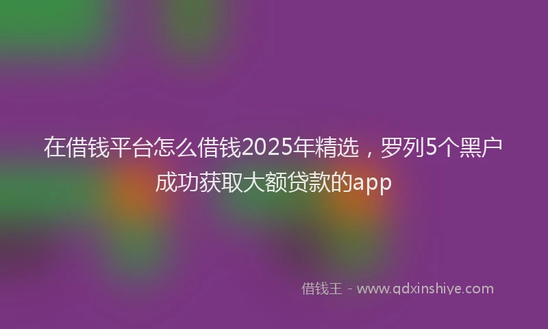 在借钱平台怎么借钱2025年精选，罗列5个黑户成功获取大额贷款的app