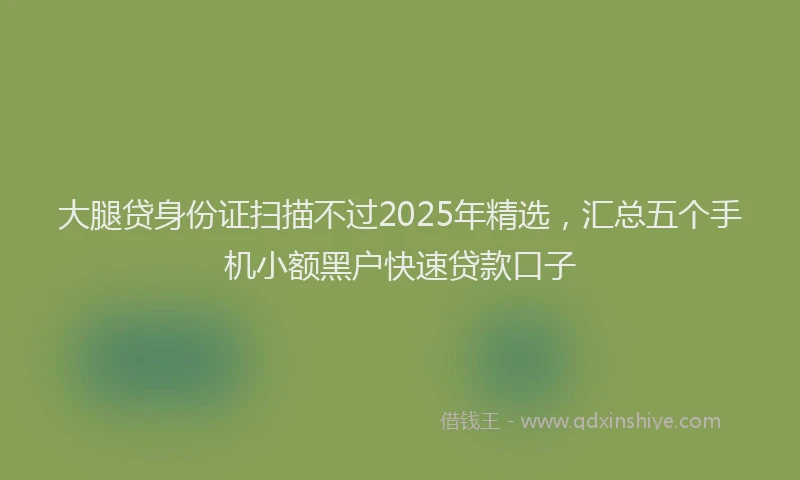 大腿贷身份证扫描不过2025年精选，汇总五个手机小额黑户快速贷款口子