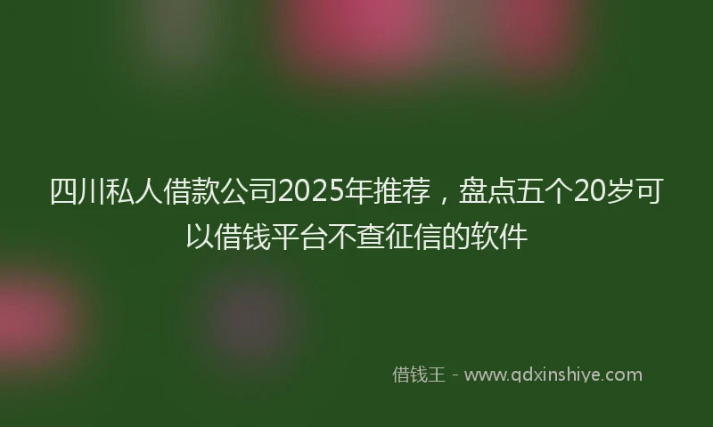 四川私人借款公司2025年推荐，盘点五个20岁可以借钱平台不查征信的软件