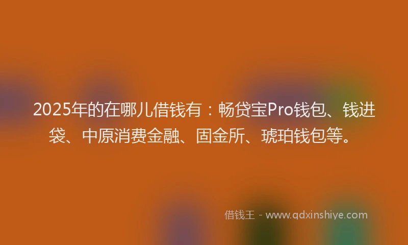 2025年的在哪儿借钱有：畅贷宝Pro钱包、钱进袋、中原消费金融、固金所、琥珀钱包等。