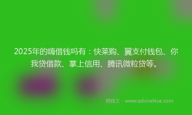 2025年的嗨借钱吗有：快莱购、翼支付钱包、你我贷借款、掌上信用、腾讯微粒贷等。