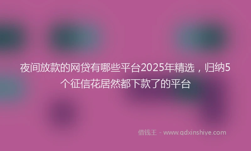 夜间放款的网贷有哪些平台2025年精选，归纳5个征信花居然都下款了的平台
