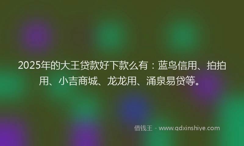 2025年的大王贷款好下款么有：蓝鸟信用、拍拍用、小吉商城、龙龙用、涌泉易贷等。