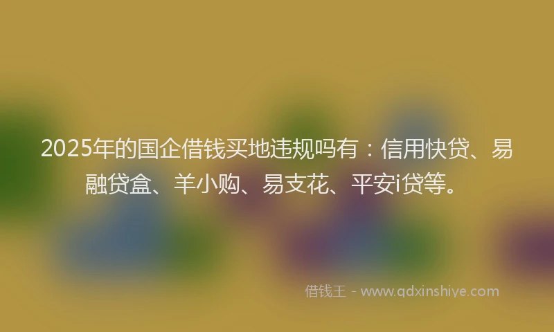 2025年的国企借钱买地违规吗有：信用快贷、易融贷盒、羊小购、易支花、平安i贷等。