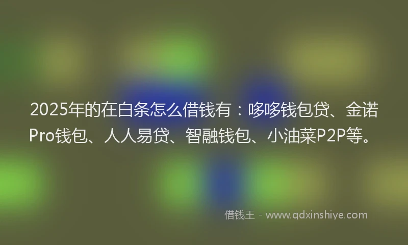 2025年的在白条怎么借钱有:哆哆钱包贷、金诺Pro钱包、人人易贷、智融钱包、小油菜P2P等。