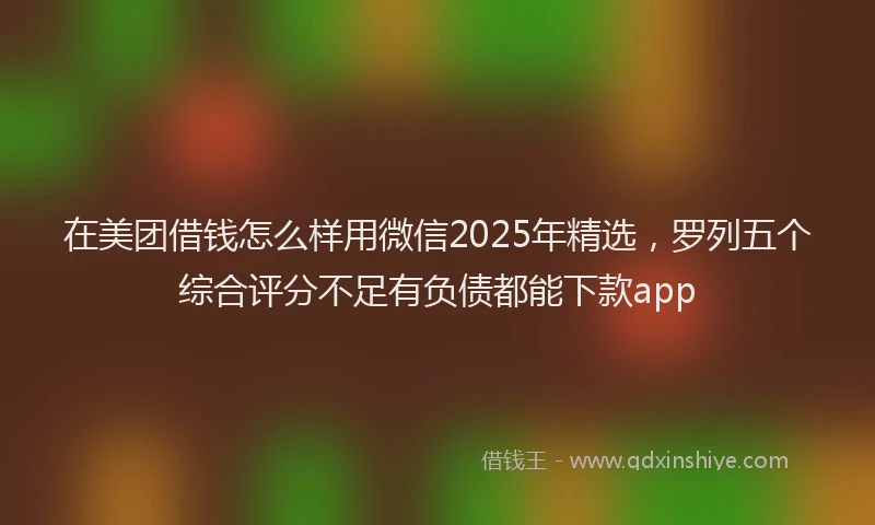 在美团借钱怎么样用微信2025年精选，罗列五个综合评分不足有负债都能下款app
