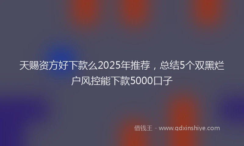 天赐资方好下款么2025年推荐，总结5个双黑烂户风控能下款5000口子