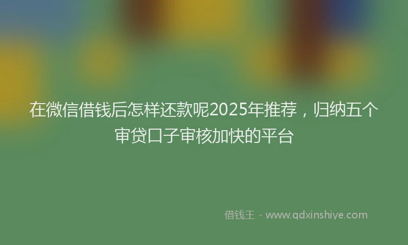 在微信借钱后怎样还款呢2025年推荐，归纳五个审贷口子审核加快的平台