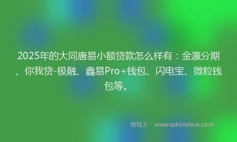 2025年的大同唐易小额贷款怎么样有:金瀛分期、你我贷-极融、鑫易Pro+钱包、闪电宝、微粒钱包等。