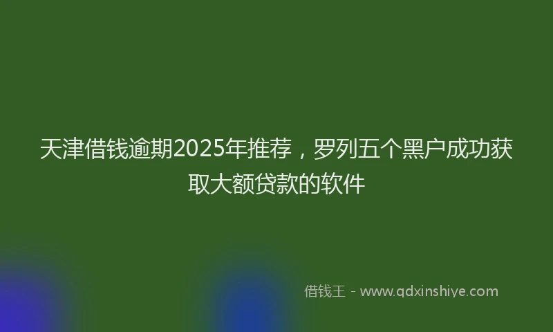 天津借钱逾期2025年推荐，罗列五个黑户成功获取大额贷款的软件