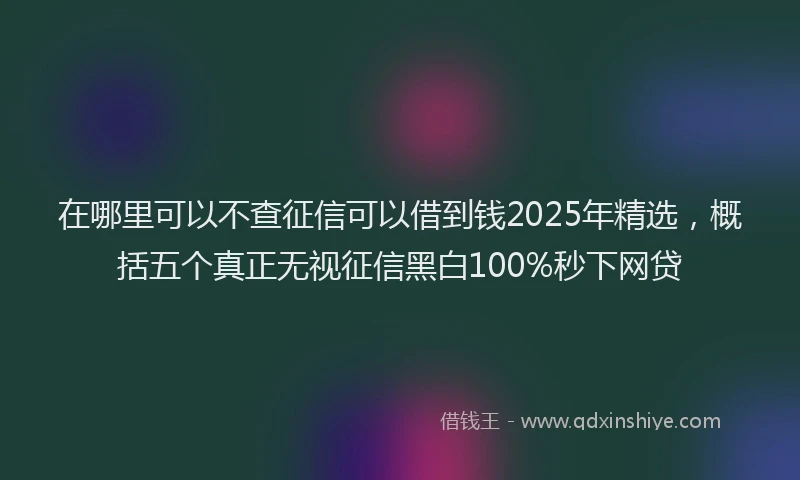 在哪里可以不查征信可以借到钱2025年精选，概括五个真正无视征信黑白100%秒下网贷