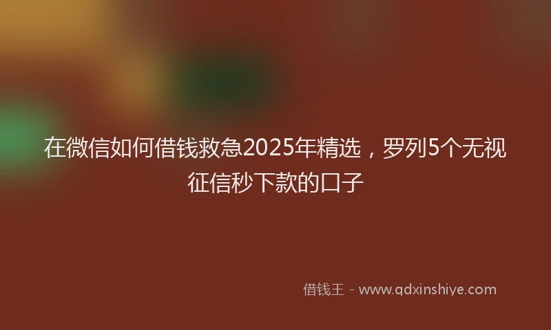 在微信如何借钱救急2025年精选，罗列5个无视征信秒下款的口子