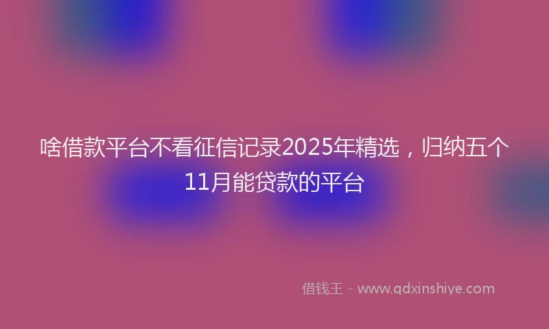 啥借款平台不看征信记录2025年精选，归纳五个11月能贷款的平台