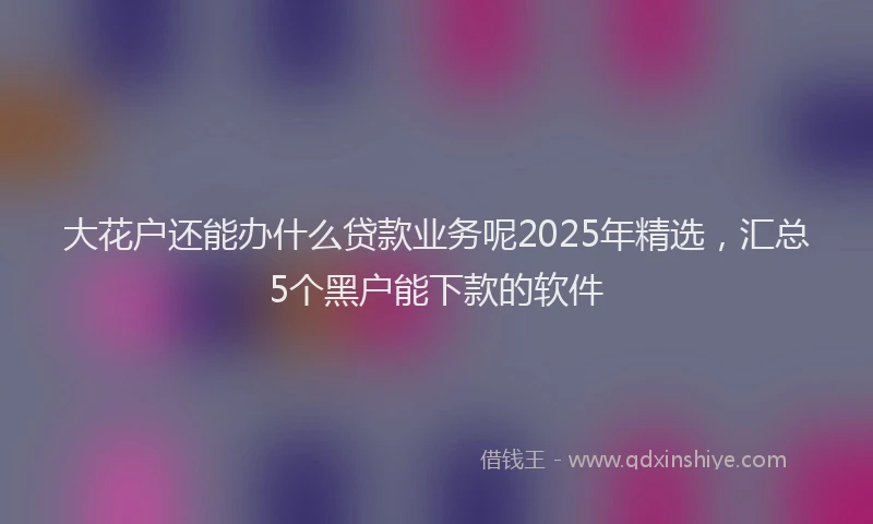 大花户还能办什么贷款业务呢2025年精选，汇总5个黑户能下款的软件