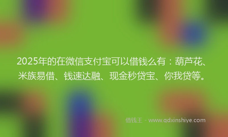 2025年的在微信支付宝可以借钱么有：葫芦花、米族易借、钱速达融、现金秒贷宝、你我贷等。