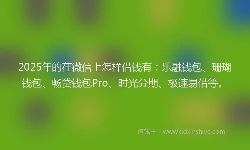 2025年的在微信上怎样借钱有：乐融钱包、珊瑚钱包、畅贷钱包Pro、时光分期、极速易借等。