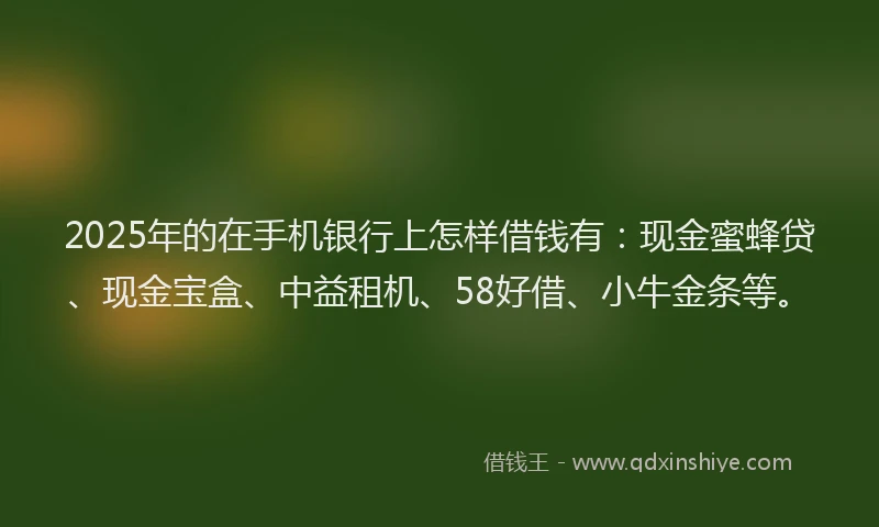 2025年的在手机银行上怎样借钱有：现金蜜蜂贷、现金宝盒、中益租机、58好借、小牛金条等。