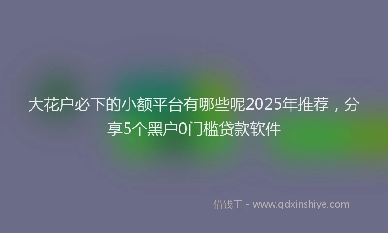 大花户必下的小额平台有哪些呢2025年推荐，分享5个黑户0门槛贷款软件