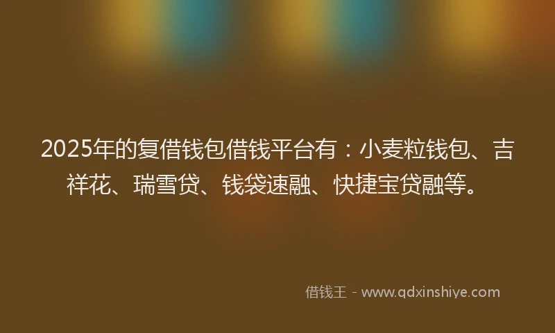 2025年的复借钱包借钱平台有：小麦粒钱包、吉祥花、瑞雪贷、钱袋速融、快捷宝贷融等。