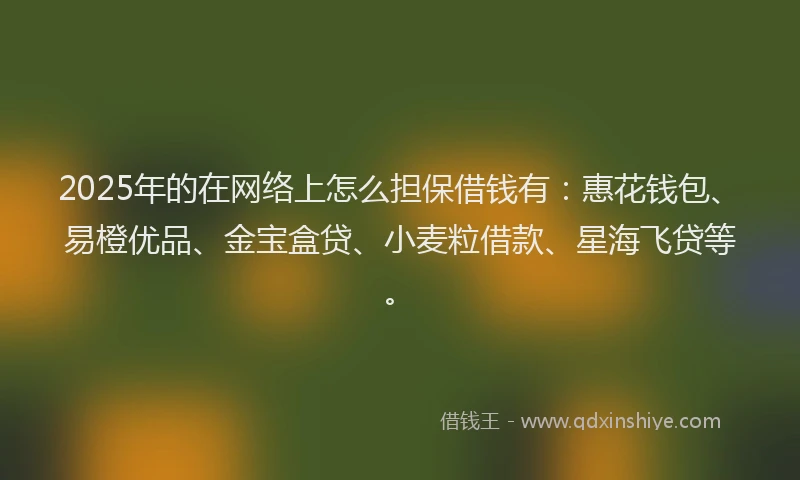 2025年的在网络上怎么担保借钱有：惠花钱包、易橙优品、金宝盒贷、小麦粒借款、星海飞贷等。