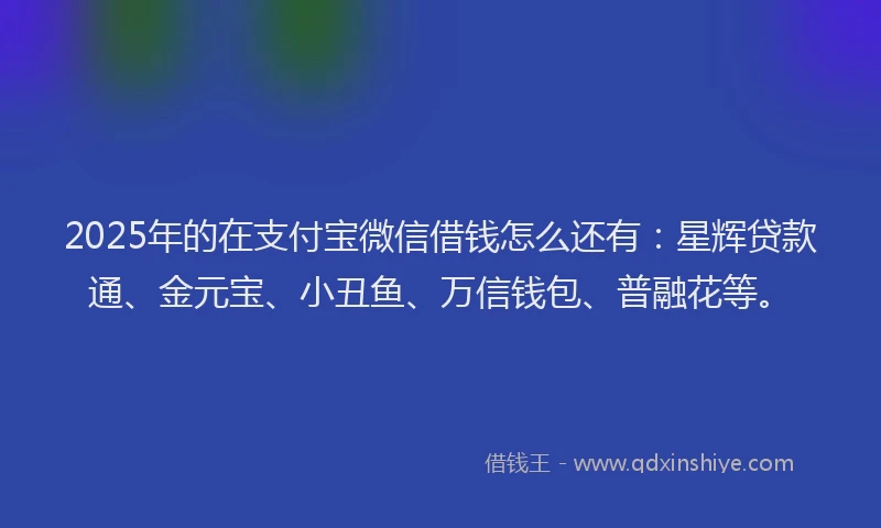 2025年的在支付宝微信借钱怎么还有：星辉贷款通、金元宝、小丑鱼、万信钱包、普融花等。