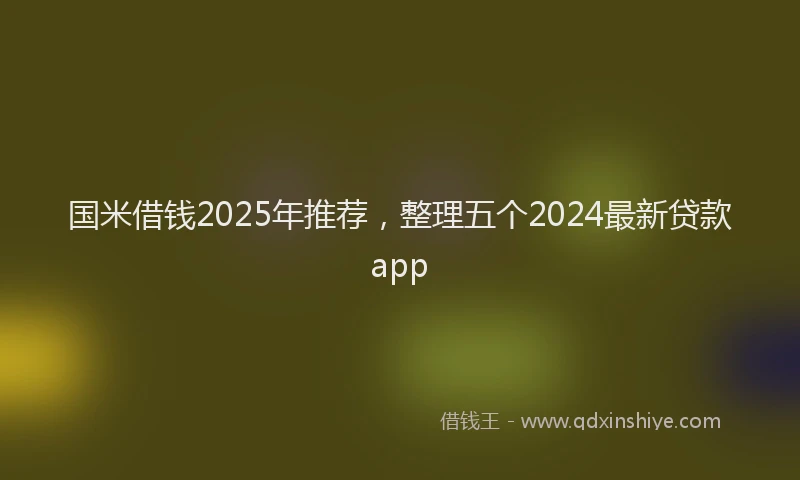 国米借钱2025年推荐，整理五个2024最新贷款app