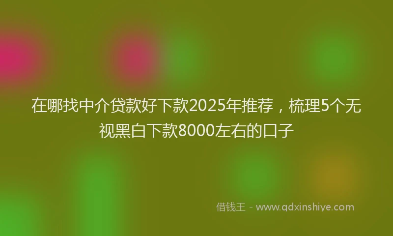 在哪找中介贷款好下款2025年推荐，梳理5个无视黑白下款8000左右的口子