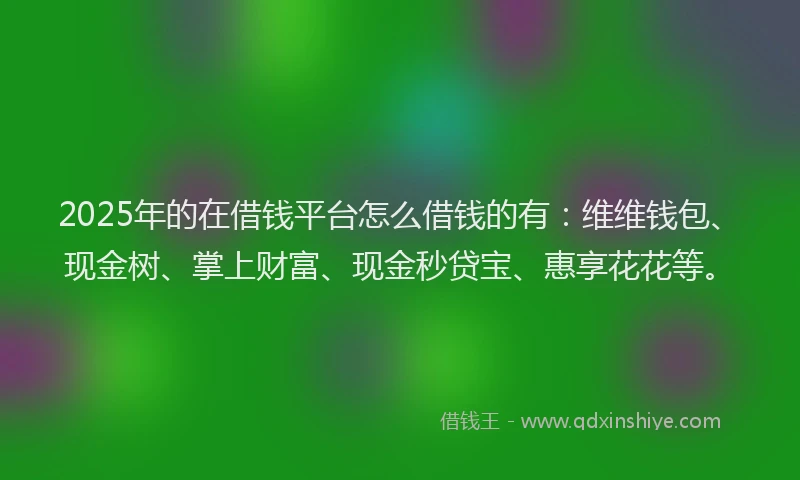 2025年的在借钱平台怎么借钱的有：维维钱包、现金树、掌上财富、现金秒贷宝、惠享花花等。