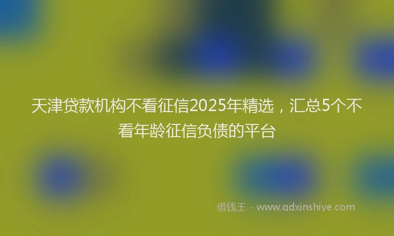 天津贷款机构不看征信2025年精选，汇总5个不看年龄征信负债的平台