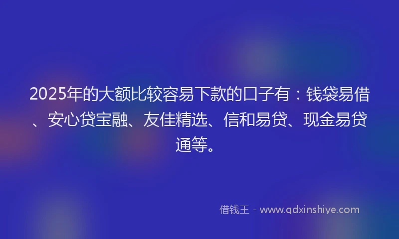 2025年的大额比较容易下款的口子有：钱袋易借、安心贷宝融、友佳精选、信和易贷、现金易贷通等。