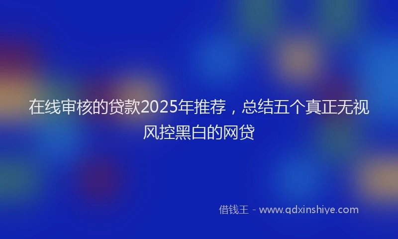 在线审核的贷款2025年推荐，总结五个真正无视风控黑白的网贷