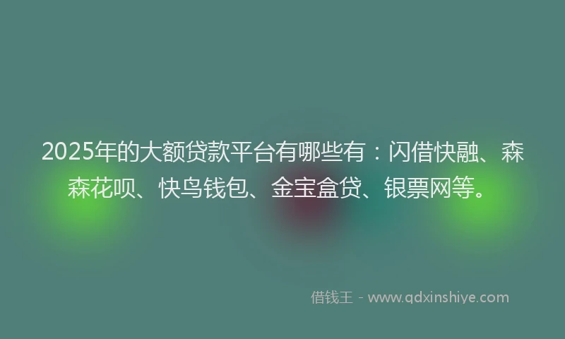 2025年的大额贷款平台有哪些有：闪借快融、森森花呗、快鸟钱包、金宝盒贷、银票网等。