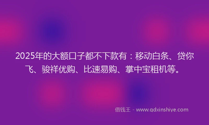 2025年的大额口子都不下款有：移动白条、贷你飞、骏祥优购、比速易购、掌中宝租机等。