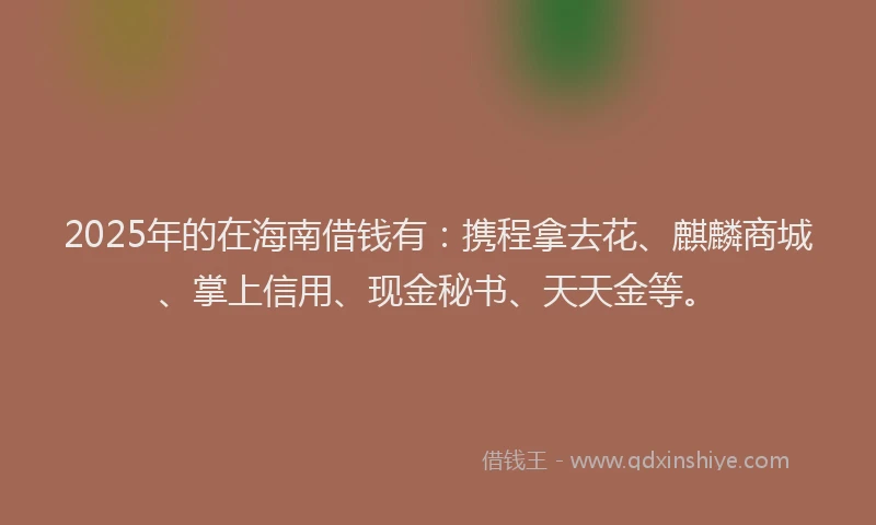 2025年的在海南借钱有：携程拿去花、麒麟商城、掌上信用、现金秘书、天天金等。