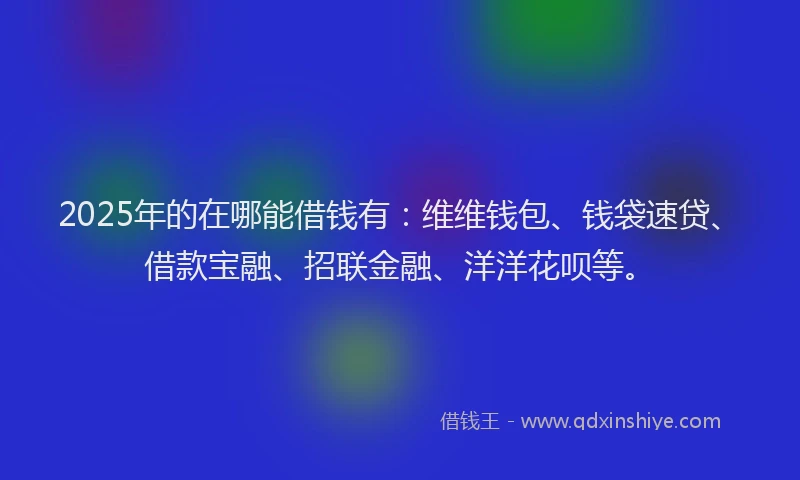 2025年的在哪能借钱有：维维钱包、钱袋速贷、借款宝融、招联金融、洋洋花呗等。