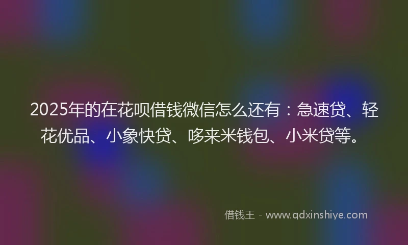 2025年的在花呗借钱微信怎么还有：急速贷、轻花优品、小象快贷、哆来米钱包、小米贷等。