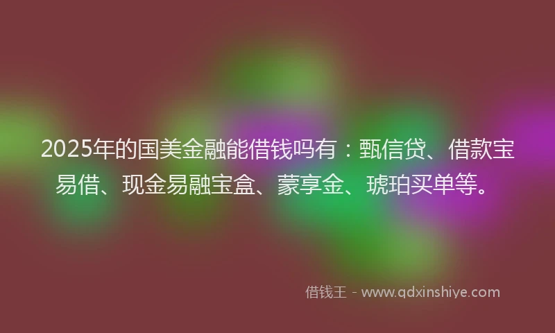 2025年的国美金融能借钱吗有：甄信贷、借款宝易借、现金易融宝盒、蒙享金、琥珀买单等。