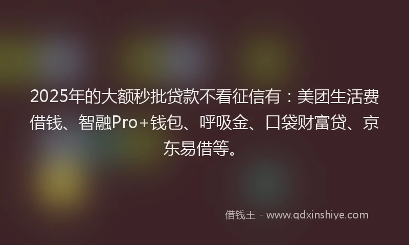 2025年的大额秒批贷款不看征信有：美团生活费借钱、智融Pro+钱包、呼吸金、口袋财富贷、京东易借等。
