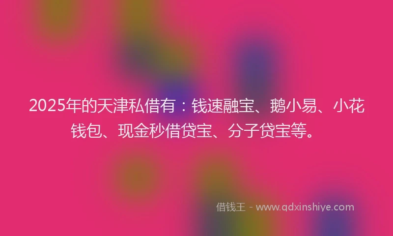 2025年的天津私借有：钱速融宝、鹅小易、小花钱包、现金秒借贷宝、分子贷宝等。