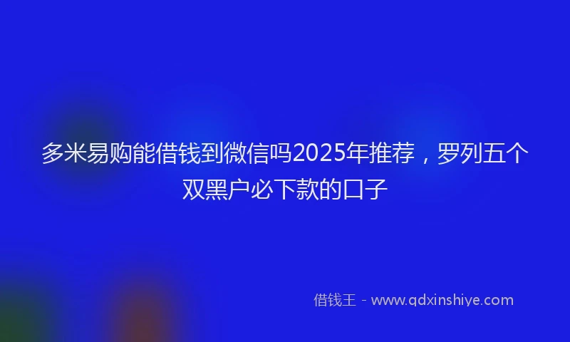 多米易购能借钱到微信吗2025年推荐，罗列五个双黑户必下款的口子