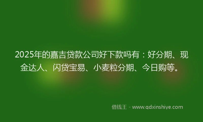 2025年的嘉吉贷款公司好下款吗有：好分期、现金达人、闪贷宝易、小麦粒分期、今日购等。