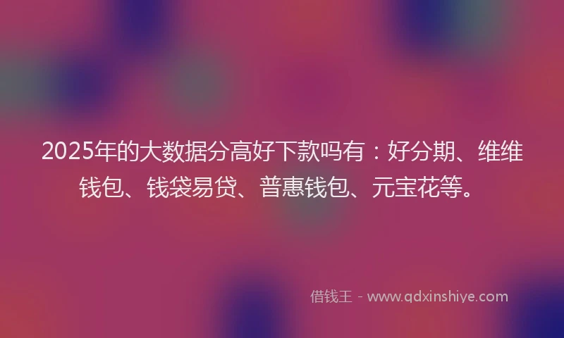 2025年的大数据分高好下款吗有：好分期、维维钱包、钱袋易贷、普惠钱包、元宝花等。