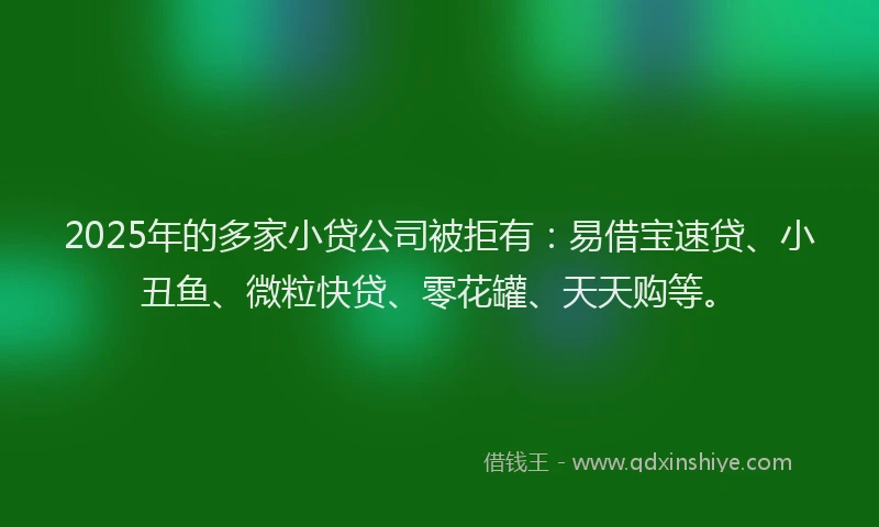 2025年的多家小贷公司被拒有：易借宝速贷、小丑鱼、微粒快贷、零花罐、天天购等。