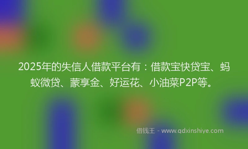 2025年的失信人借款平台有：借款宝快贷宝、蚂蚁微贷、蒙享金、好运花、小油菜P2P等。