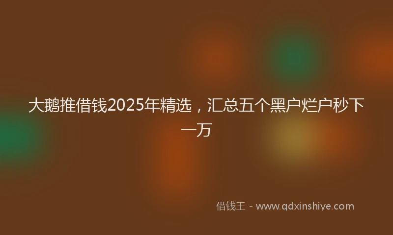 大鹅推借钱2025年精选，汇总五个黑户烂户秒下一万