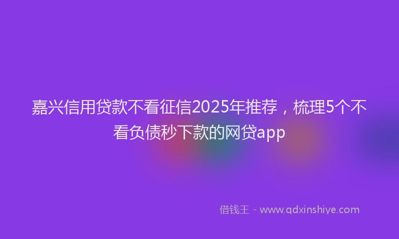 嘉兴信用贷款不看征信2025年推荐，梳理5个不看负债秒下款的网贷app