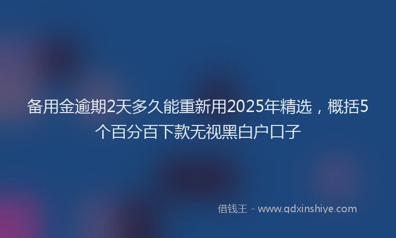 备用金逾期2天多久能重新用2025年精选，概括5个百分百下款无视黑白户口子