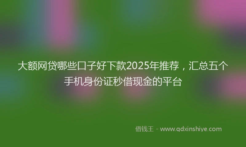 大额网贷哪些口子好下款2025年推荐，汇总五个手机身份证秒借现金的平台